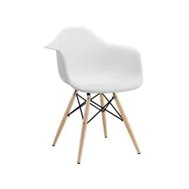 Simple Plastice Chair